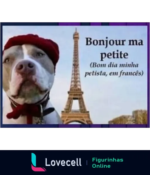 Figurinha de cachorro sério com lenço vermelho e Torre Eiffel ao fundo em Paris, com o texto 'Bonjour ma petite' em francês