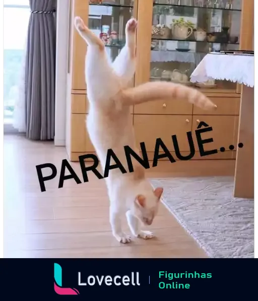 Figurinha de WhatsApp com gato branco em pose acrobática, patas levantadas, texto 'PARANAUÊ' em preto, estilo descontraído e humorístico