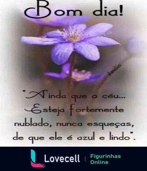 Figurinha de Bom Dia com flor roxa e texto motivacional sobre céu nublado, fundo desfocado em tons pastéis