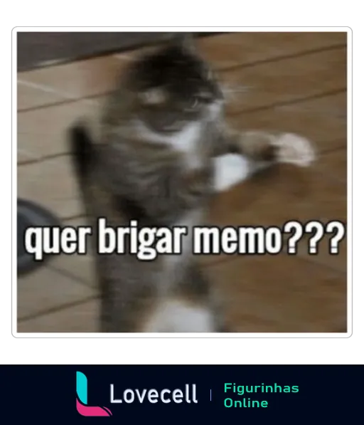 Imagem de um gato em pé, com as patas dianteiras levantadas em um gesto de desafio, acompanhado do texto 'quer brigar memo???'.