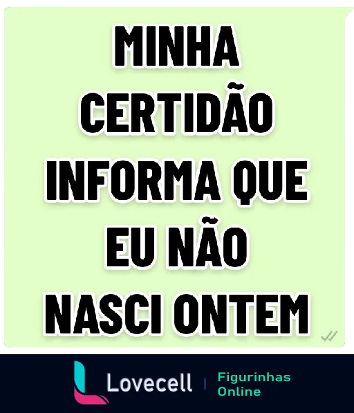 Figurinha com texto humorístico 'Minha certidão informa que eu não nasci ontem' em fundo verde claro com letras pretas