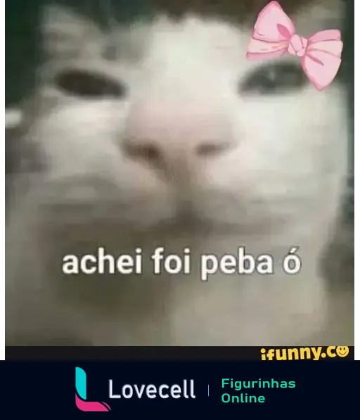 Imagem de um gato com um foco perto do rosto, acompanhado do texto 'achei foi peba ó', representando um meme humorístico.