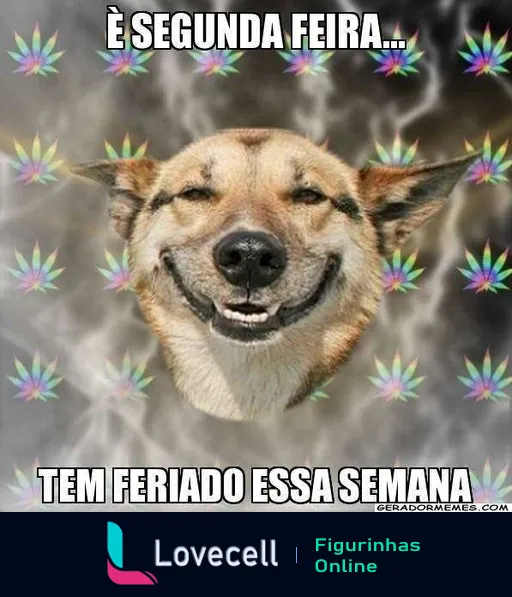 Cachorro sorridente com estampas de flores coloridas e texto 'É SEGUNDA FEIRA... TEM FERIADO ESSA SEMANA', expressando animação pelo feriado próximo