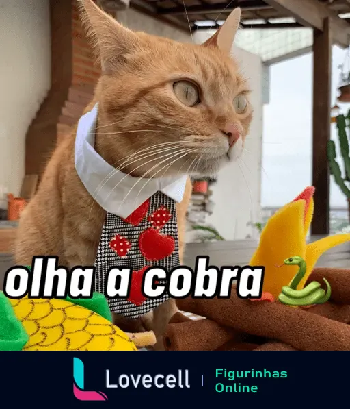 Gato vestido para festa junina com gravata vermelha, acompanhado de brinquedos temáticos, e texto 'olha a cobra'.