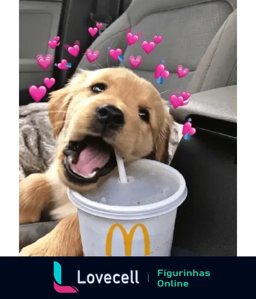 Cachorro fofo bebendo milkshake da McDonald's com corações rosas ao redor, retratando um momento de carinho e amor.