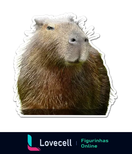 Uma capivara com expressão serena e relaxada, imagem detalhada de sua pelagem e rosto amigável, perfeita para adesivos e memes.