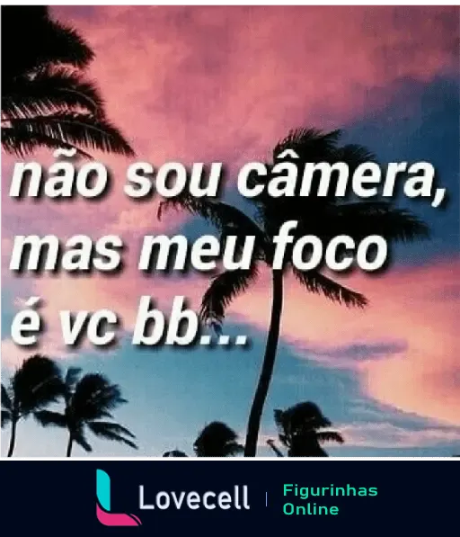 Figurinha de WhatsApp com uma paisagem de palmeiras ao entardecer e a frase 'não sou câmera, mas meu foco é vc bb...'.