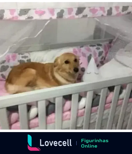 Cachorro de pelagem dourada deitado confortavelmente em um berço decorado com almofadas pink e cinza; ambiente aconchegante para animais de estimação.