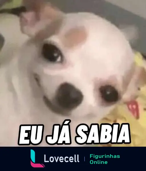 Figurinha de cachorro branco com expressão de quem já sabia algo, acompanhado do texto em negrito 'EU JÁ SABIA'