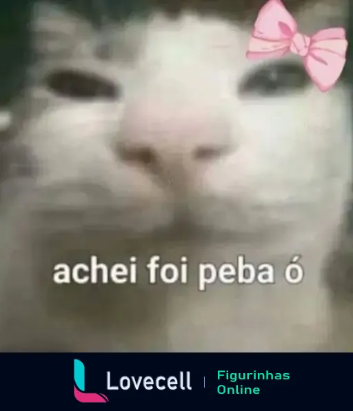 Imagem de um gato com uma expressão curiosa, decorada com um laço rosa. Texto na imagem: 'achei foi peba ó'.