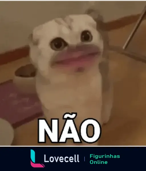 Gato com expressão facial alterada, acompanhado da palavra 'NÃO' em letras grandes, fazendo uma reação negativa.