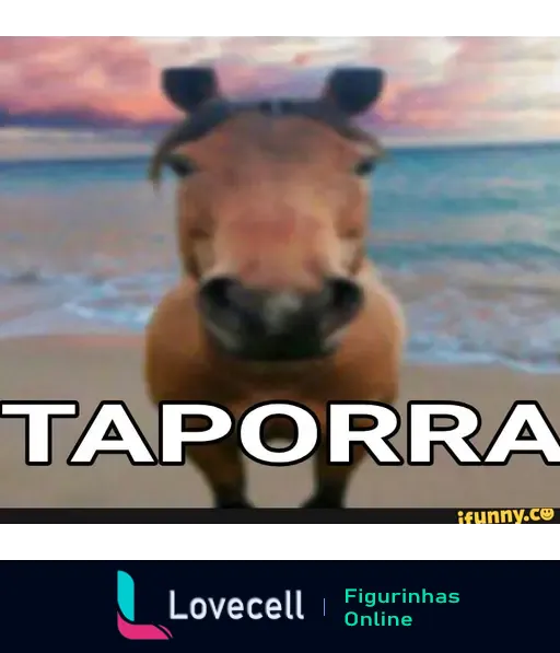 Imagem de um cavalo com uma expressão engraçada, com o texto "TAPORRA" em destaque na parte inferior. Cenário de praia ao fundo.