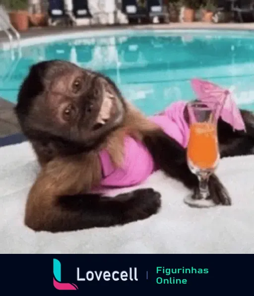 Macaco usando biquíni rosa e relaxando ao lado de uma piscina com um drink laranja, expressão divertida.