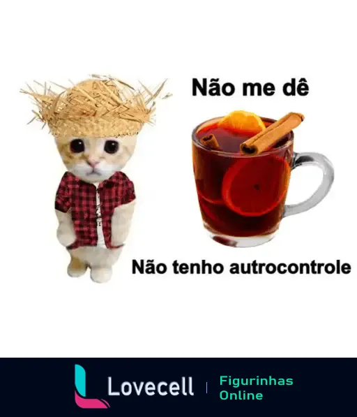 Figurinha engraçada de gatinho vestido para festa junina com quentão e texto humorístico