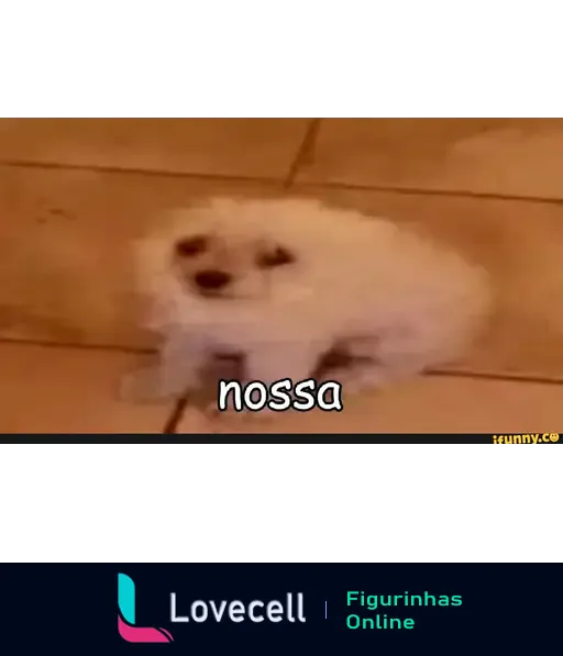 Cachorro fofinho em um piso de azulejos, com a palavra 'nossa' escrita em letras menores na parte inferior da imagem. Meme engraçado.