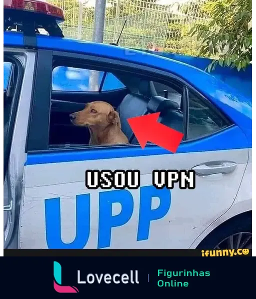 Um cão de cor dourada senta-se no banco de trás de um carro da polícia. Na lateral do veículo, lê-se 'UPP' e a frase 'USOU VPN' aparece em destaque.