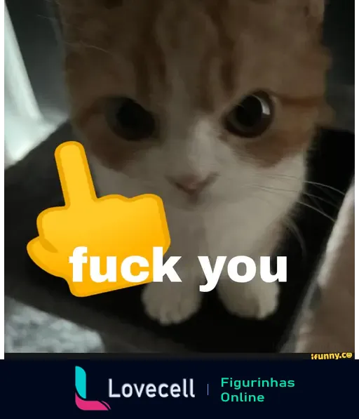 Gato com pelagem clara e manchas laranjas, olhando diretamente para a câmera, com um gesto ofensivo em destaque e a frase 'fuck you'.