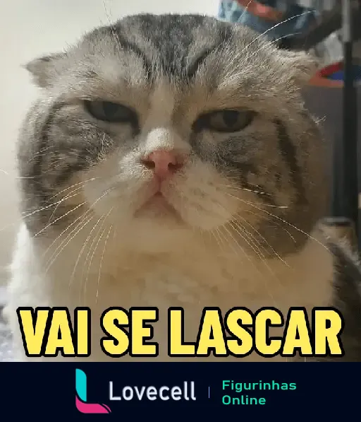 Gato com expressão mal-humorada, orelhas dobradas para trás e a frase 'Vai se lascar'. Humor felino no grupo Gatinhos.