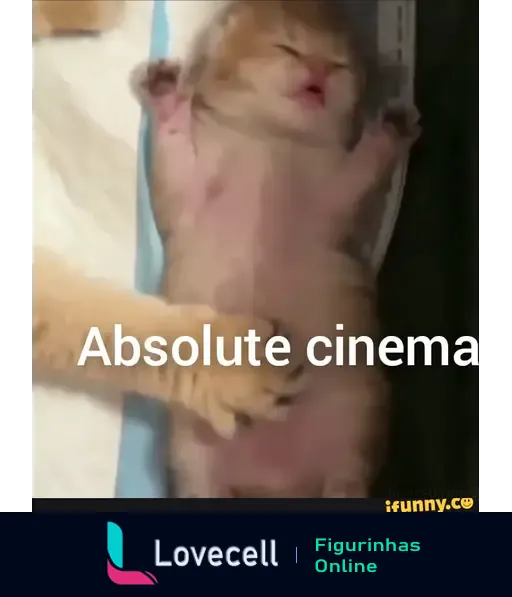 Um gato fofo deitado com as patas para cima, mostrando a barriga, enquanto a frase 'Absolute cinema' aparece na parte inferior da imagem.