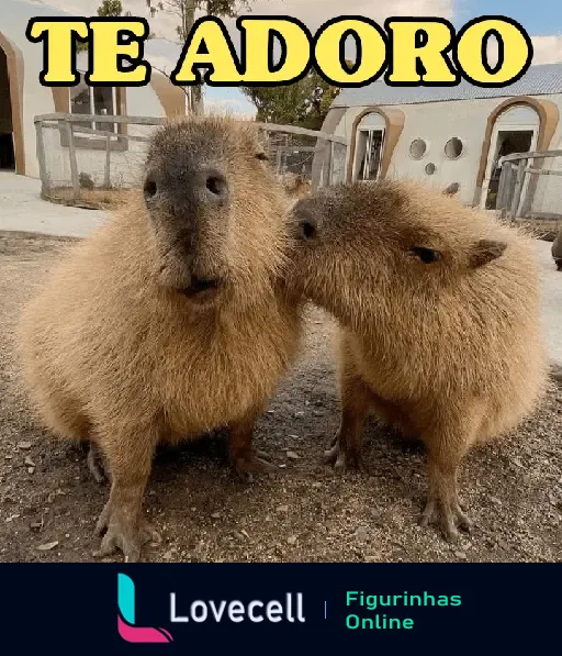 Duas capivaras fofas em um zoológico, uma beijando a outra em um gesto de carinho, com o texto 'Te Adoro' acima delas.