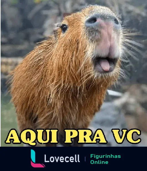 Uma capivara molhada fazendo uma expressão divertida com a língua para fora. Texto: 'AQUI PRA VC'.