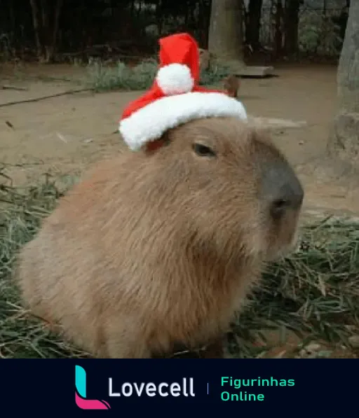 Capivara fofa usando um chapéu de Natal vermelho e branco, celebrando as festas em um ambiente natural.