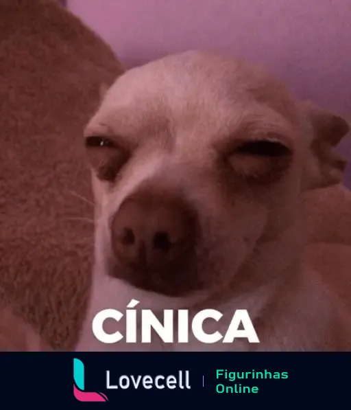 Um cachorro de raça pequena com uma expressão cínica, olhando para o lado com olhos semi-abertos. A palavra 'CÍNICA' está escrita em letras grandes na parte inferior da imagem.