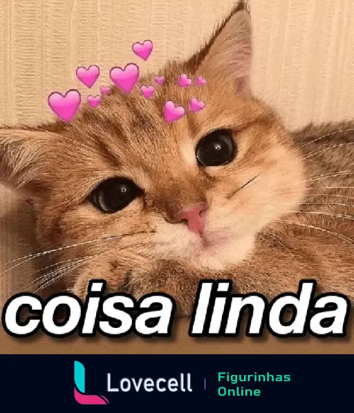 Foto de um gato adorável com corações rosas ao redor de sua cabeça, acompanhado do texto 'coisa linda', perfeito para cantadas e indiretas românticas.