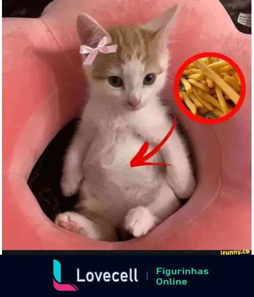 Gato fofo sentado em uma cama rosa com um laço na cabeça, apontando para batatas fritas. Título: 'Fome de batata frita'. Tags: meme, memes, fome.