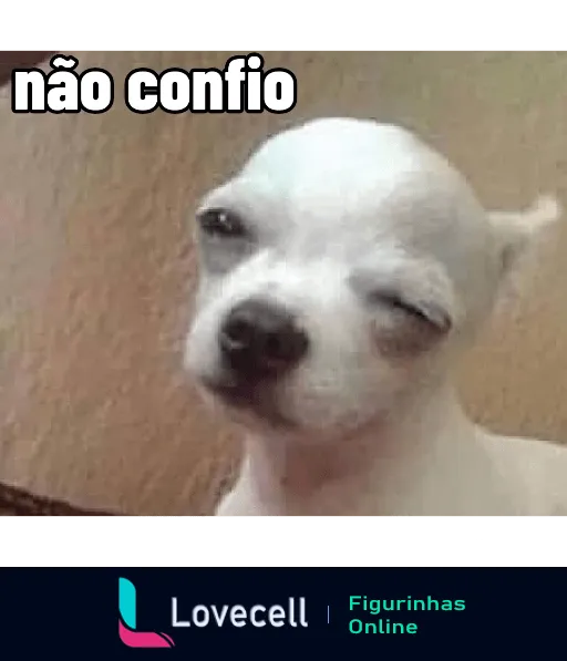 Figurinha de WhatsApp com cachorro branco de olhos semicerrados e expressão desconfiada, frase 'não confio' escrita na parte superior