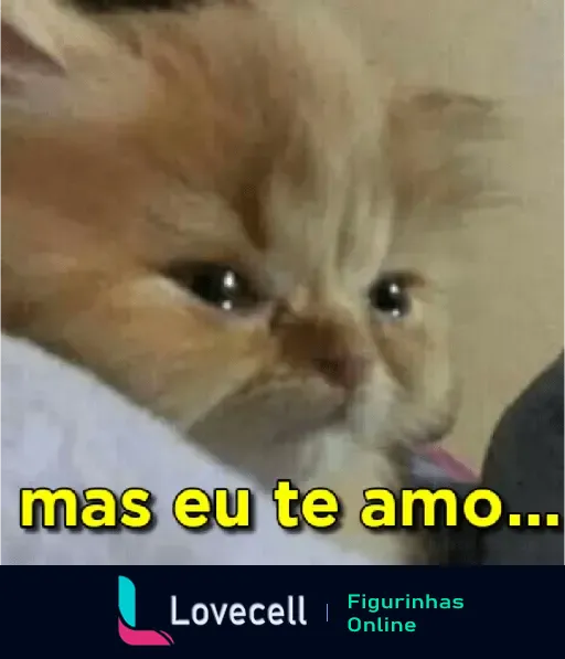 Gatinho triste com olhos marejados de lágrimas olhando para frente, com a frase 'mas eu te amo' em texto amarelo na parte inferior da imagem.