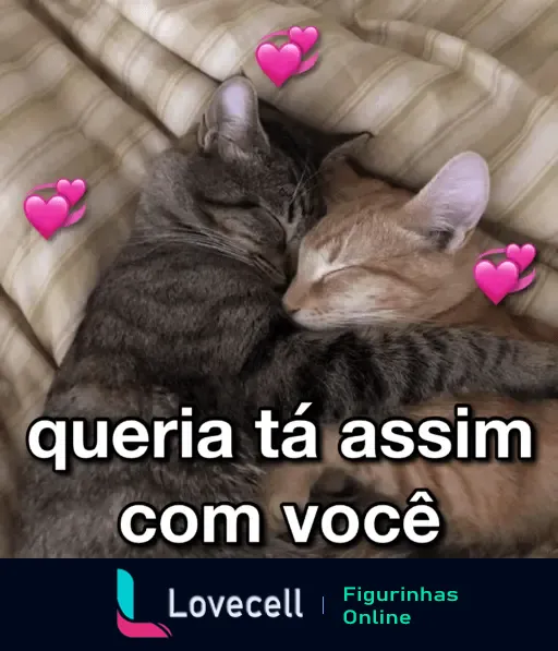 Dois gatos dormindo juntos, abraçados com ternura. Legenda diz: 'queria tá assim com você', rodeados por corações rosas. Ideal para demonstrações de afeto ou cantadas.