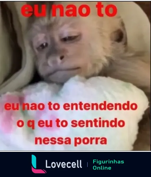 Imagem de um macaco com uma expressão pensativa, acompanhada do texto: 'eu nao to' e 'eu nao to entendendo o q eu to sentindo nessa porra'.