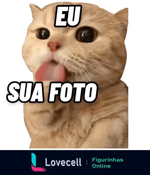 Figurinha de gato amarelo com expressão engraçada lambendo a imagem, acompanhado das palavras 'EU SUA FOTO', em contexto humorístico