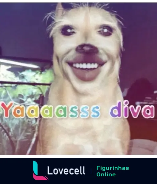 Uma imagem de um cachorro com um rosto humano sorridente e expressivo. A imagem tem o texto colorido 'Yaaaass diva' escrito na parte inferior.