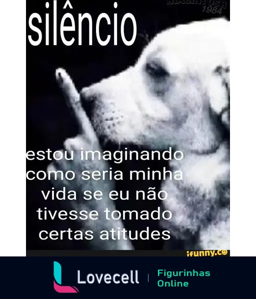 Imagem de um cachorro com a pata levantada, pedindo silêncio. Texto: 'silêncio' e 'estou imaginando como seria minha vida se eu não tivesse tomado certas atitudes'.