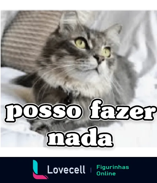 Figurinha de WhatsApp com gato cinza e branco expressando resignação e texto 'posso fazer nada' em preto