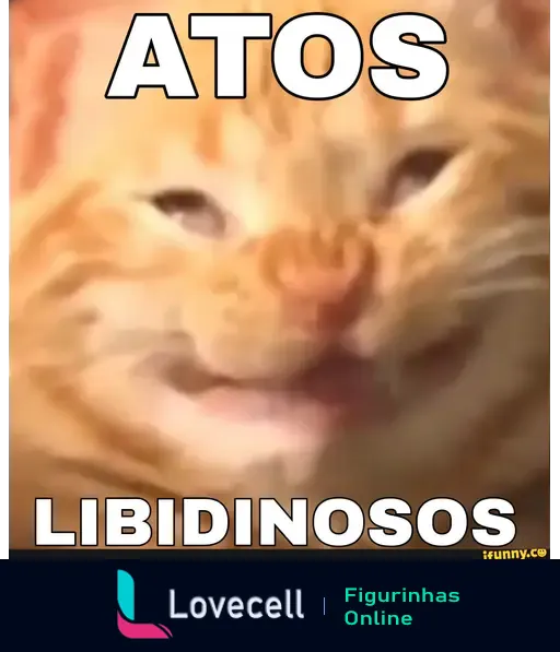 Um gato laranja sorridente com olhos semicerrados, acompanhado do texto 'ATOS LIBIDINOSOS' em caixa alta. Meme divertido.