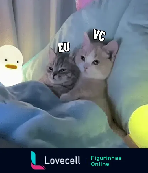 Dois gatinhos fofos, um rotulado como 'EU' e o outro como 'VC', aconchegados em um cobertor azul, com luzes suaves ao fundo.