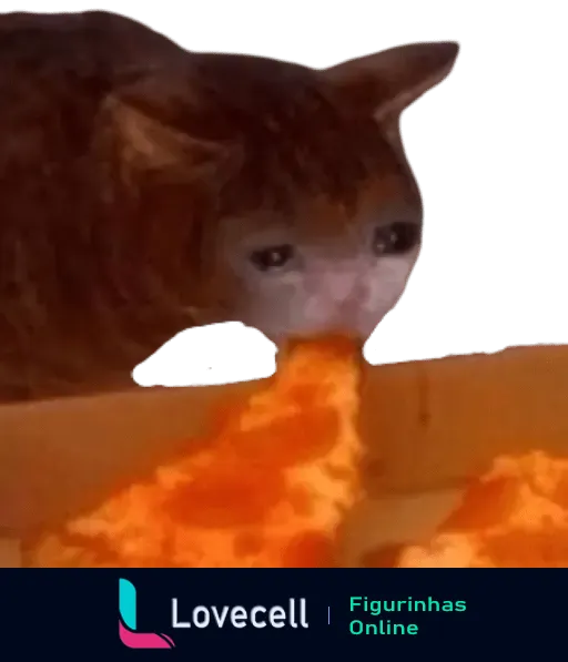 Gato chorando enquanto cheira uma pizza com partes fluorescentes laranjas. Superfície da pizza parece quente ou brilhante.