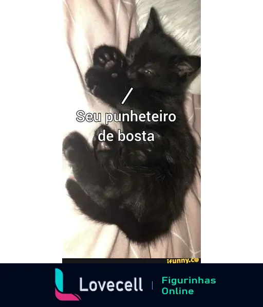 Gato preto dormindo com a legenda 'Seu punheteiro de bosta', representando um meme humorístico.