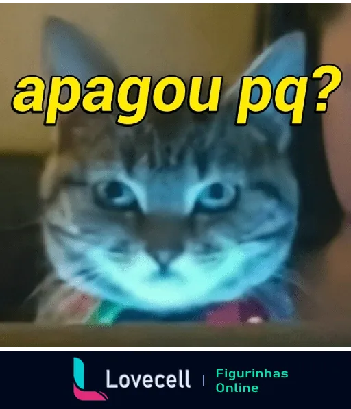 Figurinha de gato com expressão intrigada e texto 'apagou pq?' indicando confusão sobre algo deletado