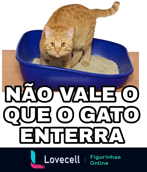 Gato laranja dentro de uma caixa de areia azul olhando para a câmera com a frase 'NÃO VALE O QUE O GATO ENTERRA' indicando algo sem valor