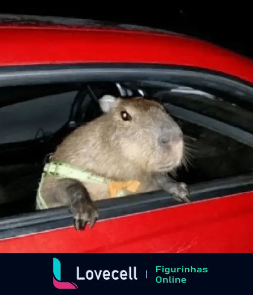 Capivara olhando pela janela de um carro vermelho à noite, com expressão curiosa e usando uma coleira verde.