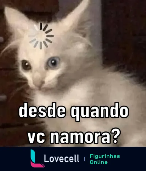 Gato branco com expressão confusa e um ícone de carregamento na testa, acompanhado do texto 'desde quando vc namora?'