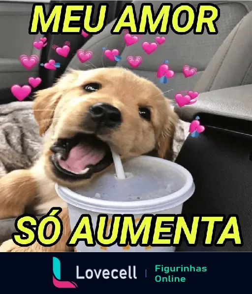 Filhote de cachorro fofo bebendo refrigerante com corações ao redor e texto 'Meu Amor Só Aumenta' em amarelo. Ideal para NAMORADOS.