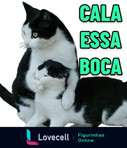 Gato preto e branco segurando outro gato com a patinha, acompanhada de texto 'CALA ESSA BOCA'. Humor com gatos expressivos.