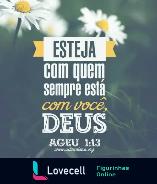 Imagem com margaridas e a mensagem 'Esteja com quem sempre está com você, Deus. Ageu 1:13'. Fundo suave e flores brancas.