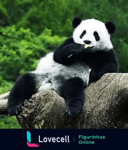 Figurinha de um panda gigante descansando relaxado em um tronco, com pata sobre o peito, cercado pela natureza verde