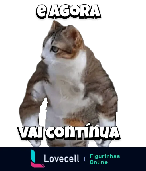 Figurinha de gato sério com a frase 'E agora, vai continuar' em contexto cômico